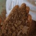 优质菜籽饼黄饼