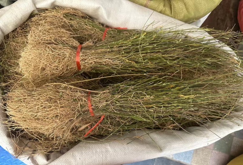了叼竹徐长卿带叶纯根两种规格