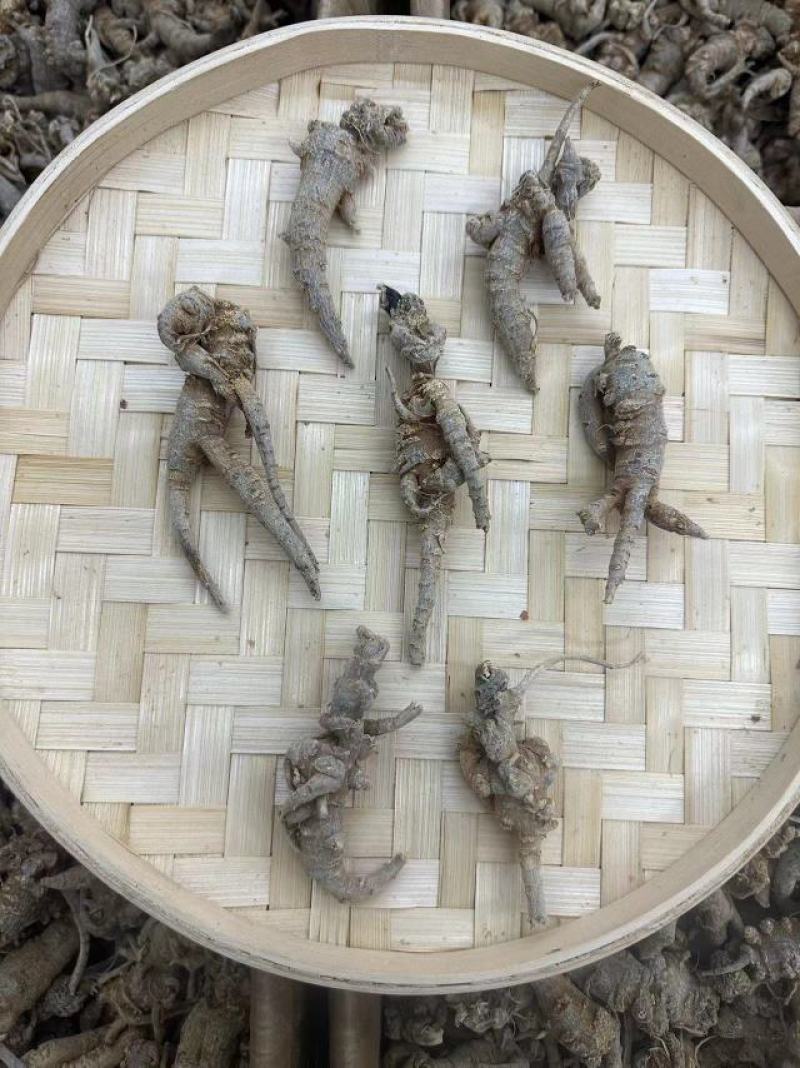 云南野生三七按个头发货