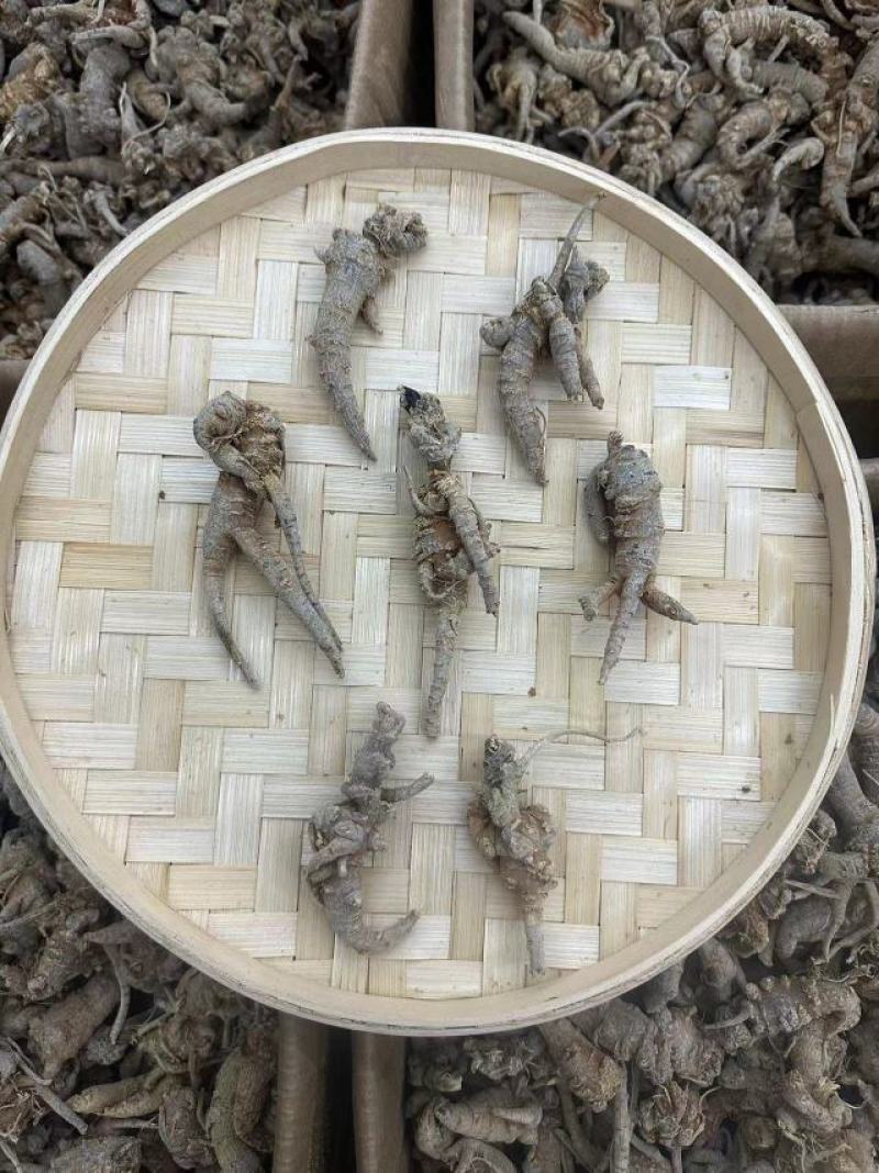 云南野生三七按个头发货