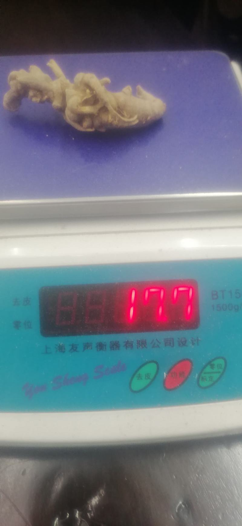 云南野生三七按个头发货
