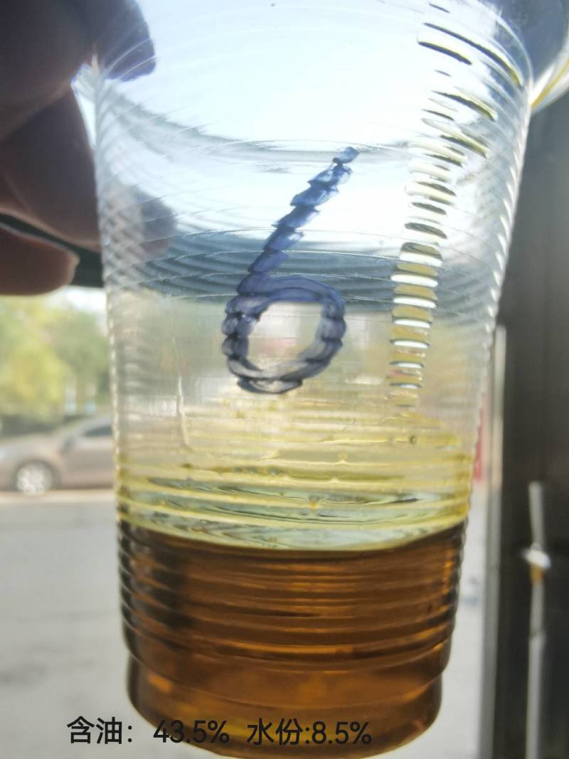 熟榨生榨都好看的菜籽