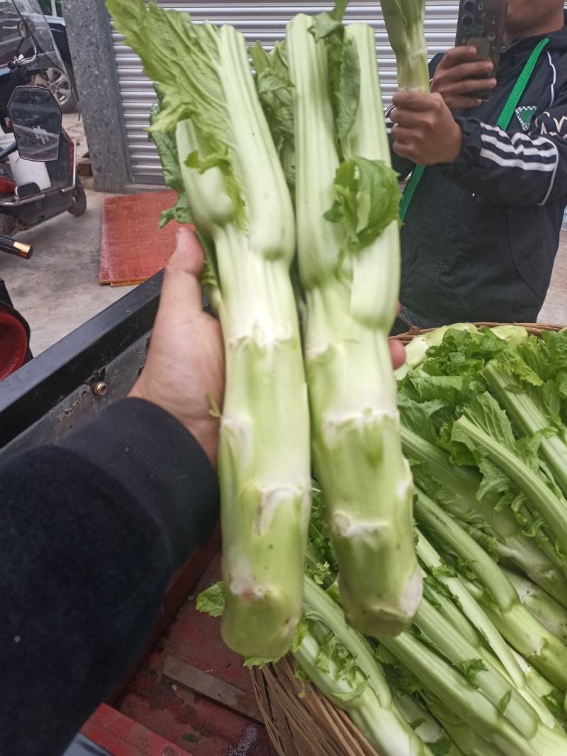 棒菜