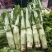 棒菜