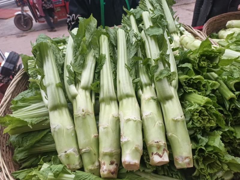 棒菜