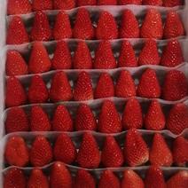优质甜宝草莓货源充足量大从优欢迎老板前来选购可视频