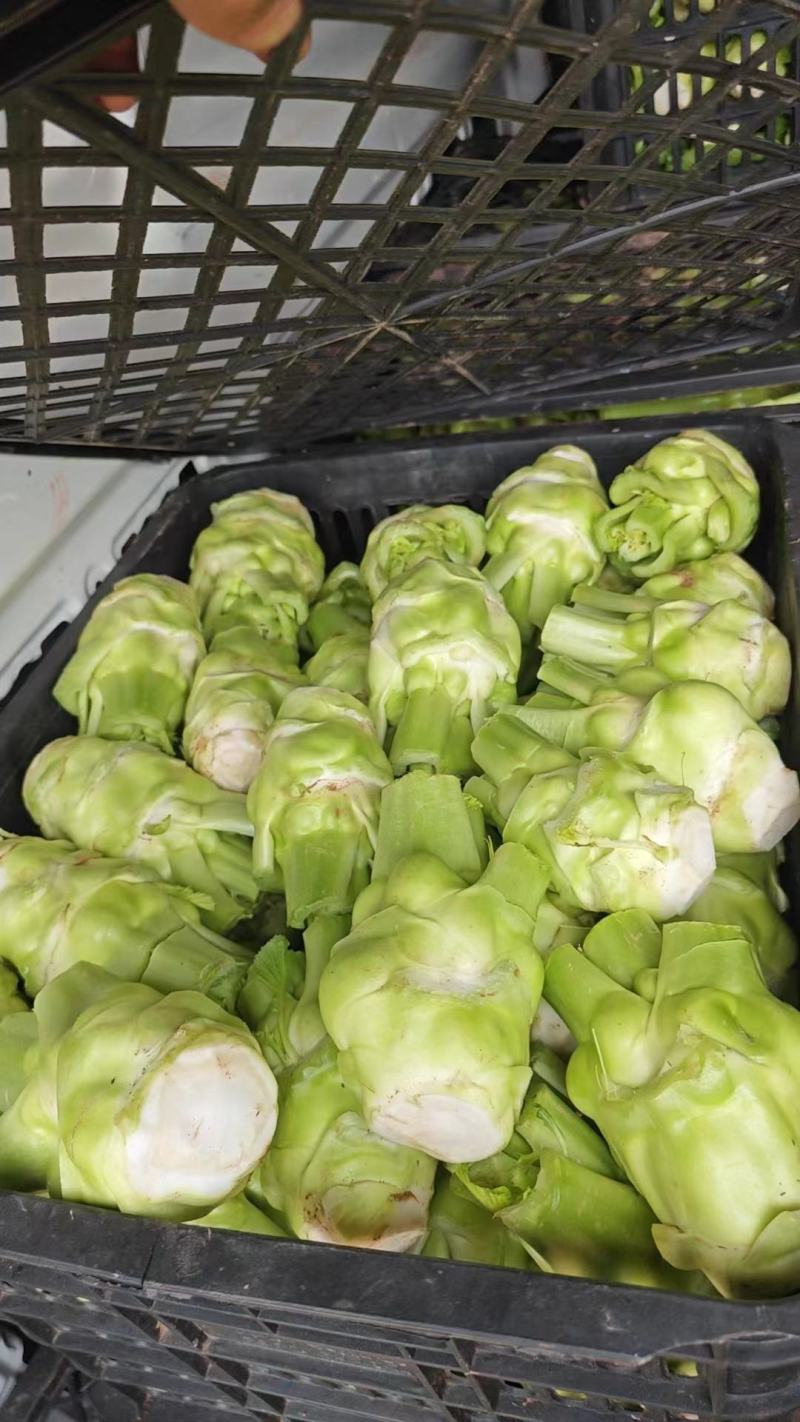 榨菜