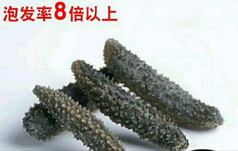 淡干海参小黑刺参辽参滋补：.50只包邮