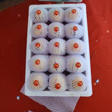鲜源参果，石林风化石土地生长，清甜多汁，健康美味佳肴