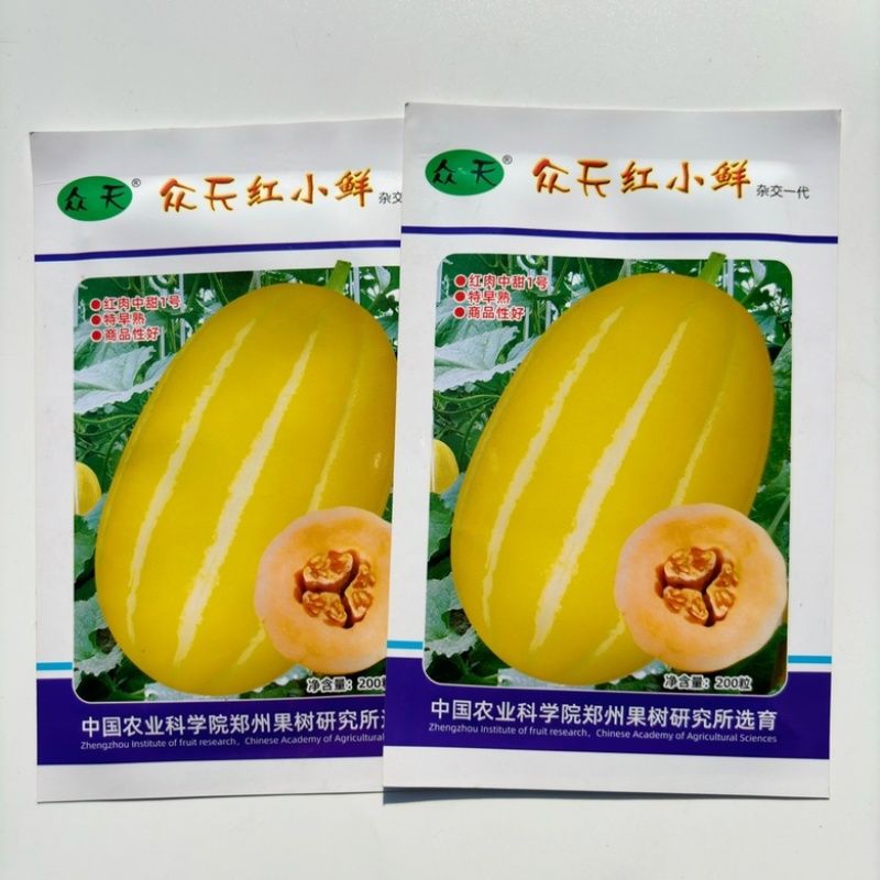 众天红小鲜甜瓜种子黄皮红肉