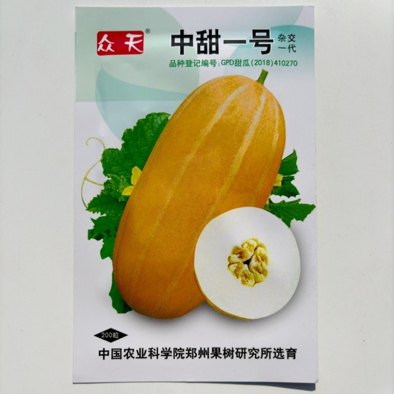众天红小鲜甜瓜种子黄皮红肉