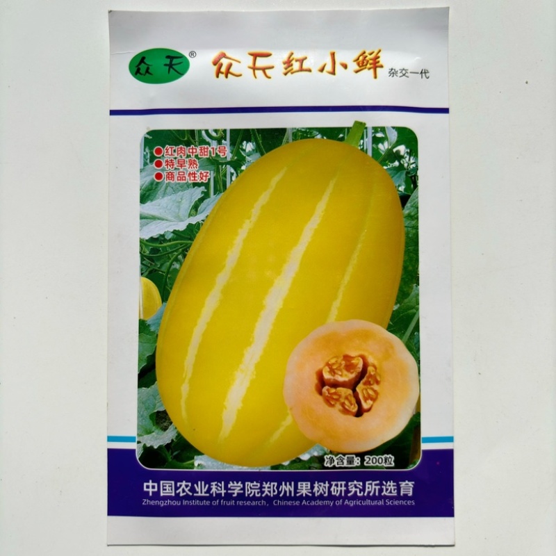 众天红小鲜甜瓜种子黄皮红肉