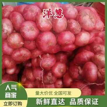 洋葱，红黄洋葱，电商，国内市场，专业国外出口。一手货源