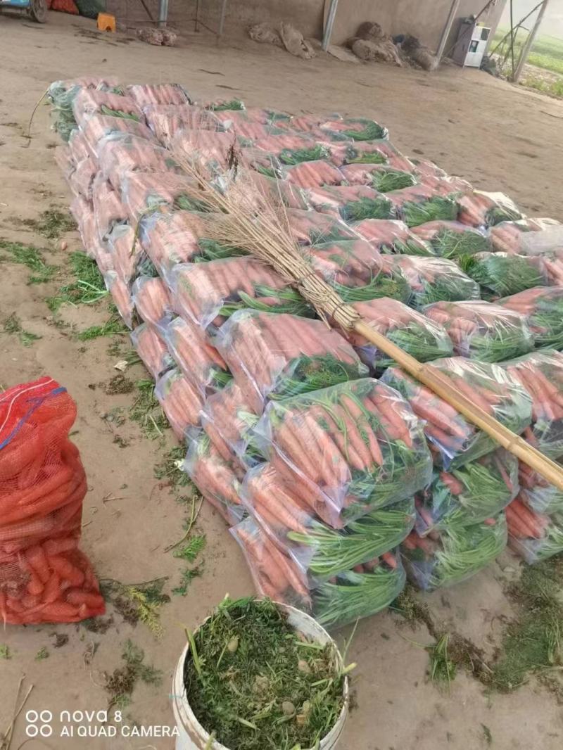 【推荐】品质胡萝卜🥕三红胡萝卜产地直发品质保证