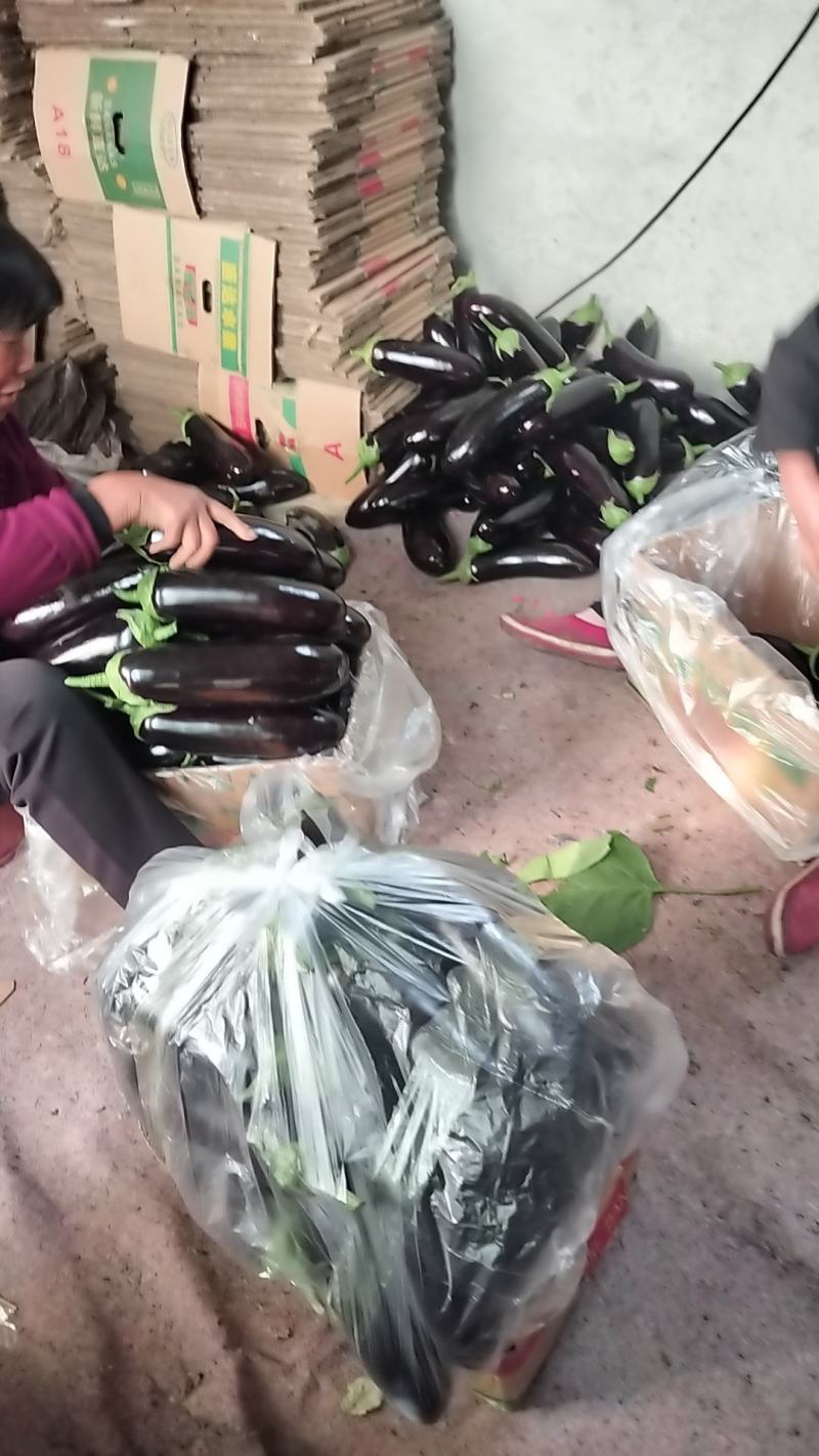 产地直销，量大从优