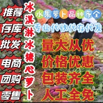 冰淇淋水果萝卜，青萝卜，山东萝卜，潍县萝卜，冰激淋萝卜