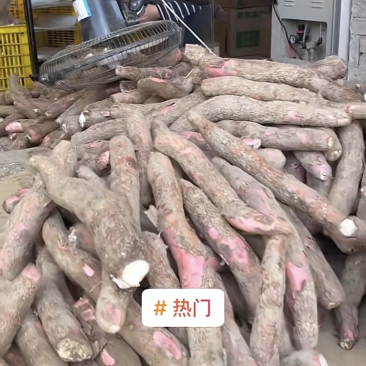 木薯