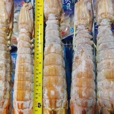 泰国活煮濑尿虾