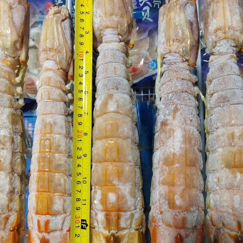 泰国活煮濑尿虾