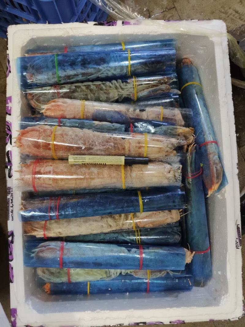 泰国活煮濑尿虾