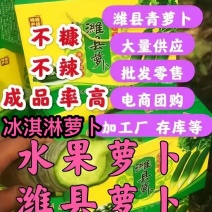 水果萝卜，冰激淋萝卜，潍县水果青萝卜，冰糖心萝卜，冰淇淋