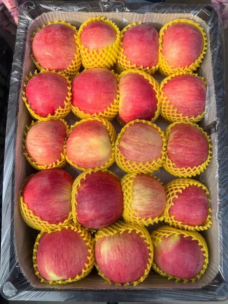 烟台红富士苹果，80以上条纹拉丝，冰糖心苹果