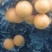 【九月红脐橙】湖北精品脐橙，产地直发，品质保证，可视频看