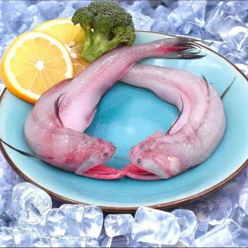 新鲜速冻龙头鱼豆腐鱼