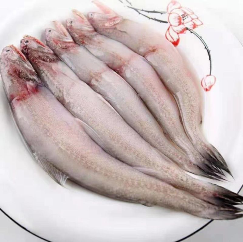 新鲜速冻龙头鱼豆腐鱼