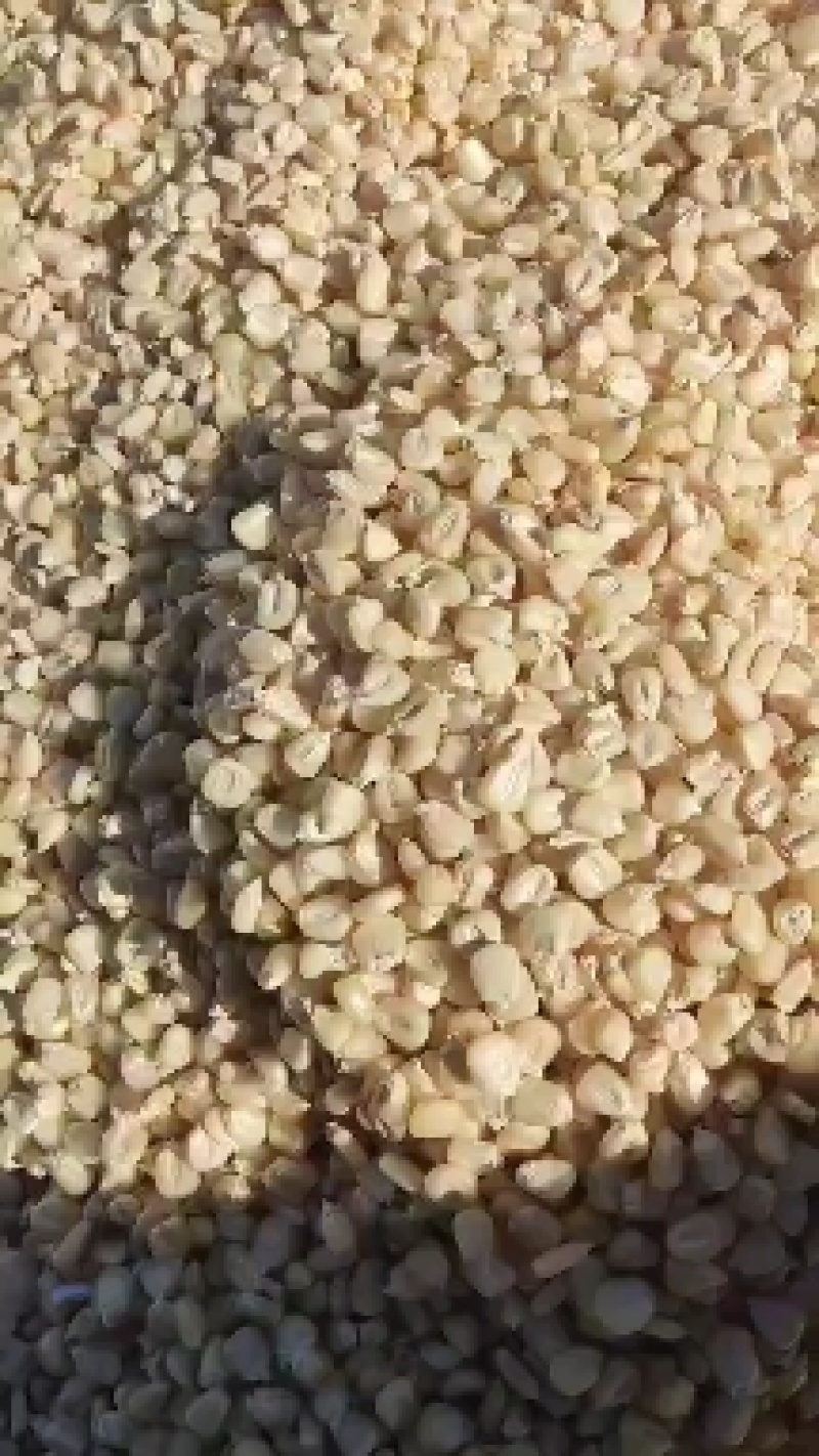 精品万糯2000糯玉米干粒，粒粒饱满精品货
