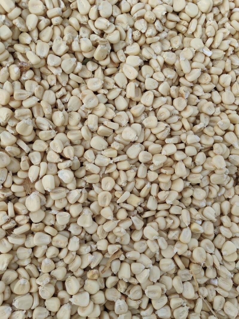 精品万糯2000糯玉米干粒，粒粒饱满精品货