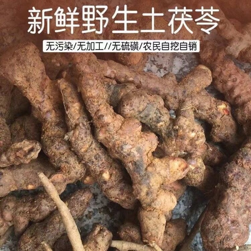 新鲜土茯苓展会地摊电商云南白红土茯苓大土中土茯苓干