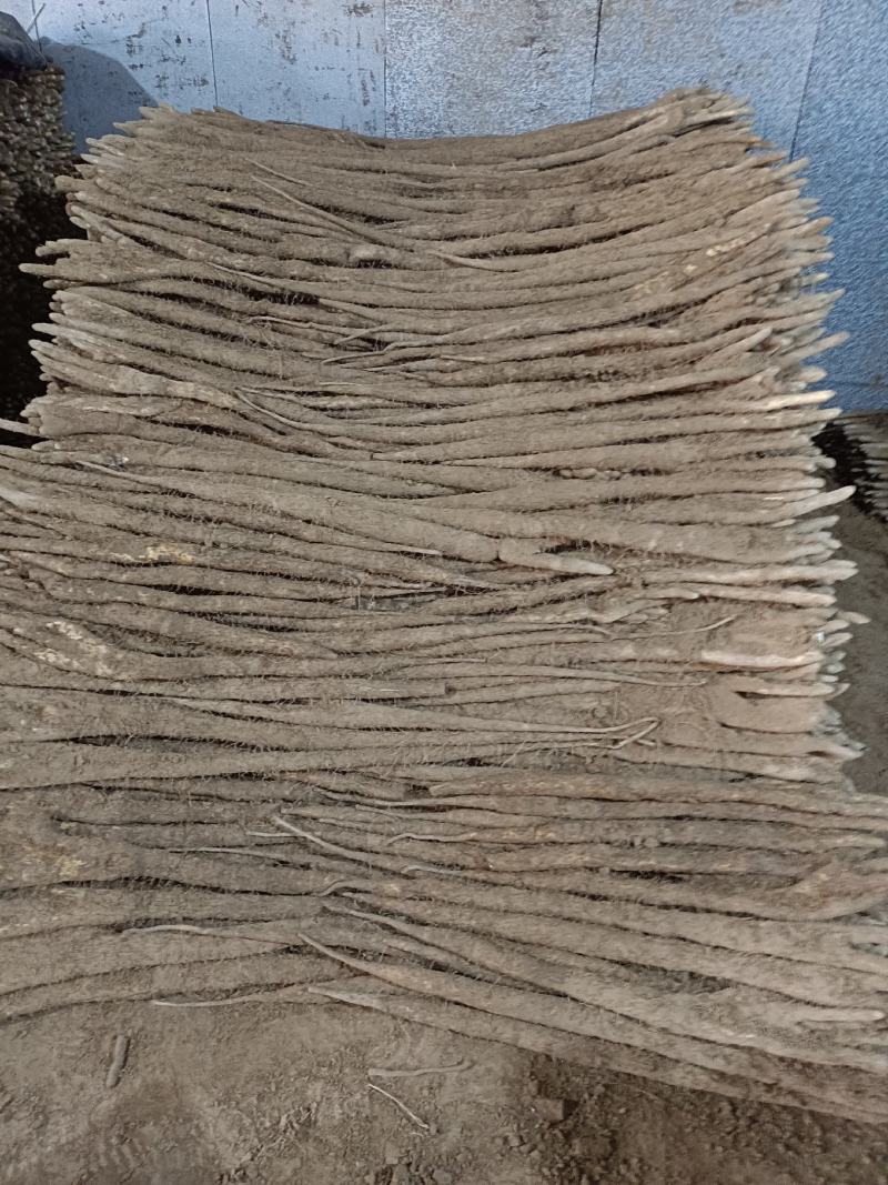 精品佛手山药，河北深州小白嘴海量货源，供应时间长