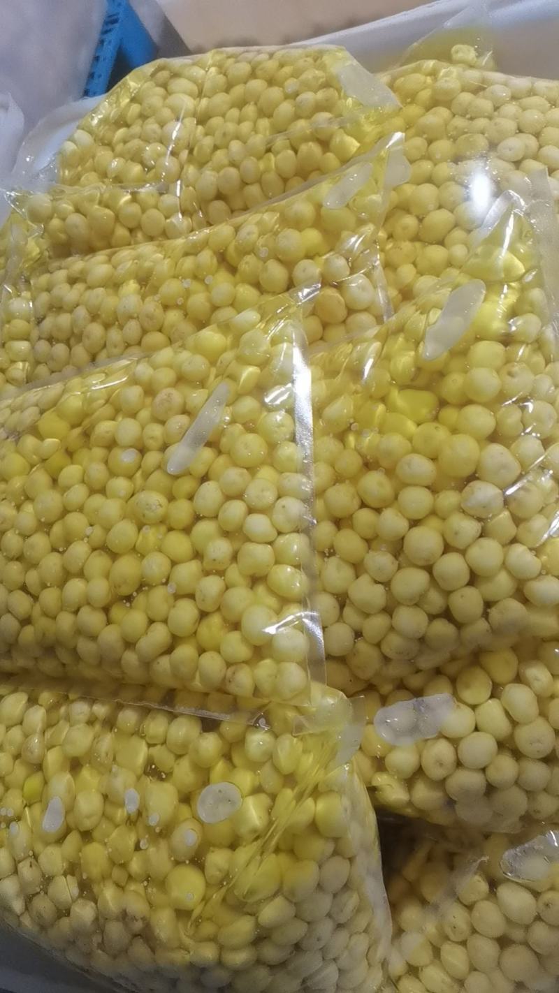 精品迷你小土豆大量供应市场、商超、电商、量大更实惠