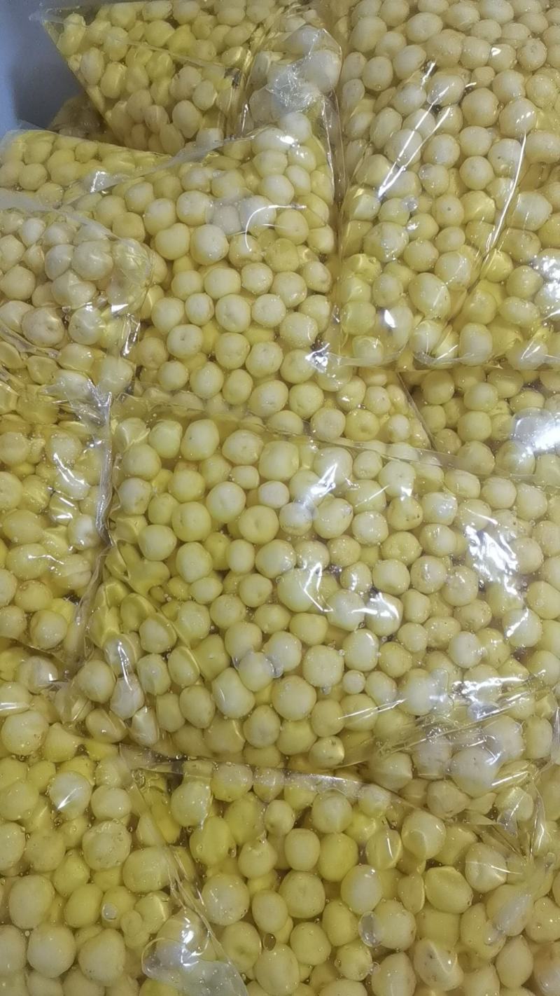 精品迷你小土豆大量供应市场、商超、电商、量大更实惠