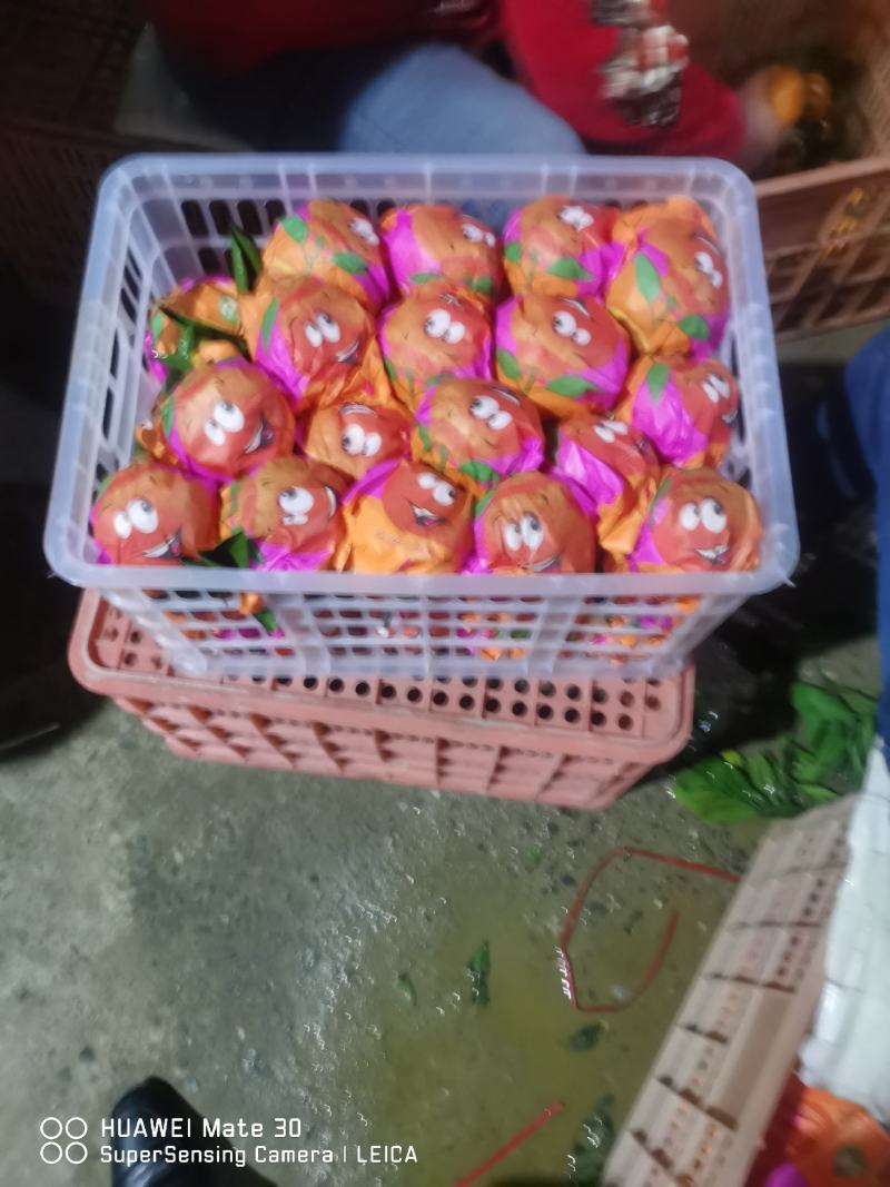 精品丑橘好吃不上火价格便宜货源充足口感适宜