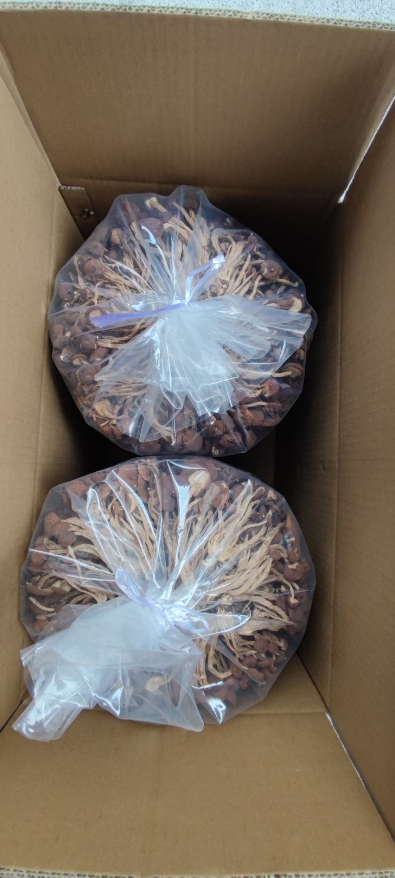 精品江西广昌县茶树菇批发通货批发5斤*2包/件