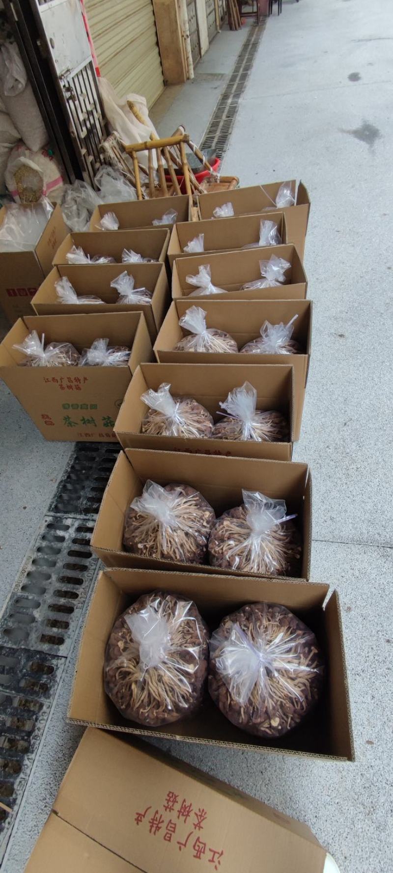 精品江西广昌县茶树菇批发通货批发5斤*2包/件