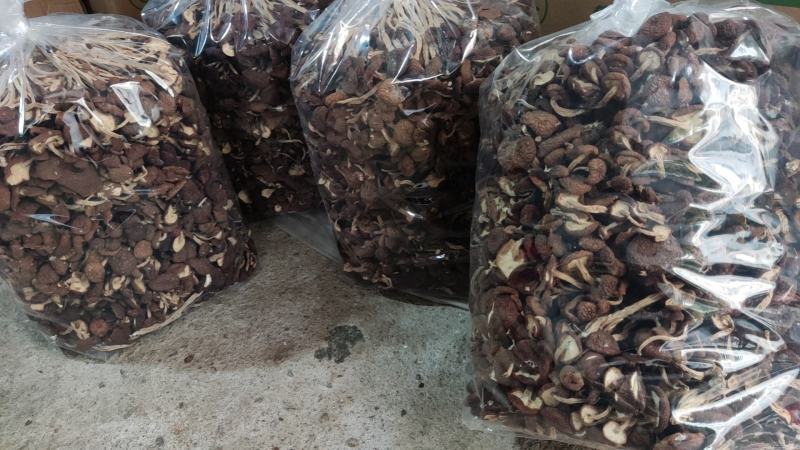 精品江西广昌县茶树菇批发通货批发5斤*2包/件