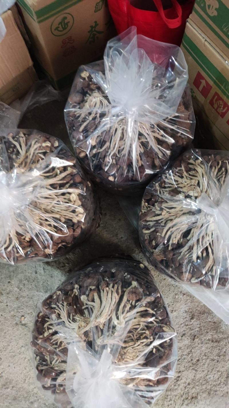 精品江西广昌县茶树菇批发通货批发5斤*2包/件