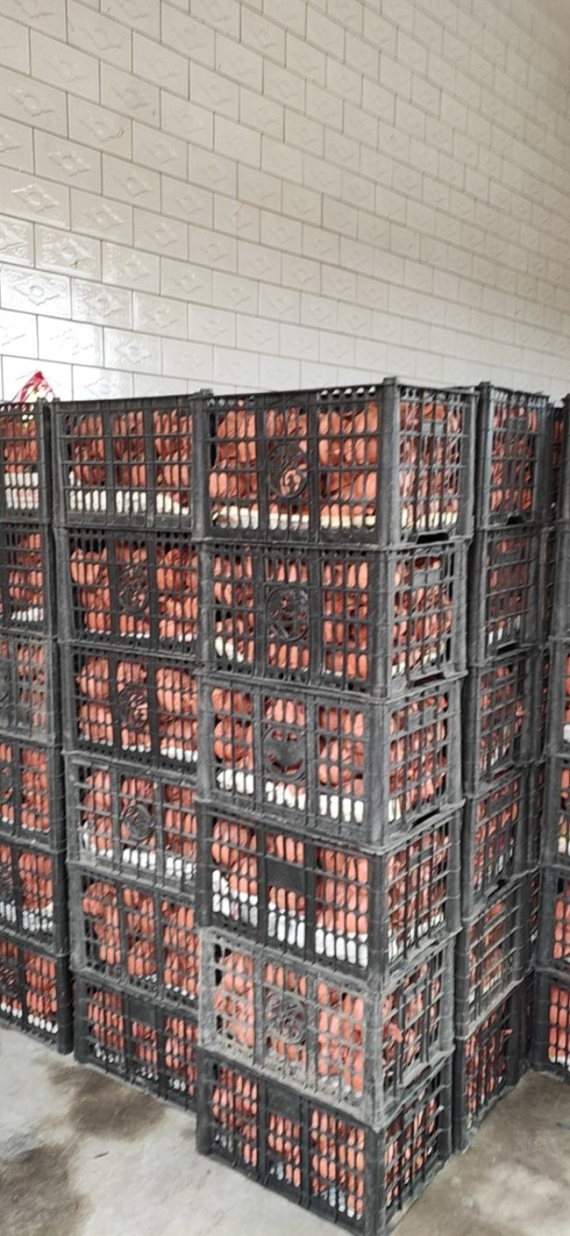 酥梨