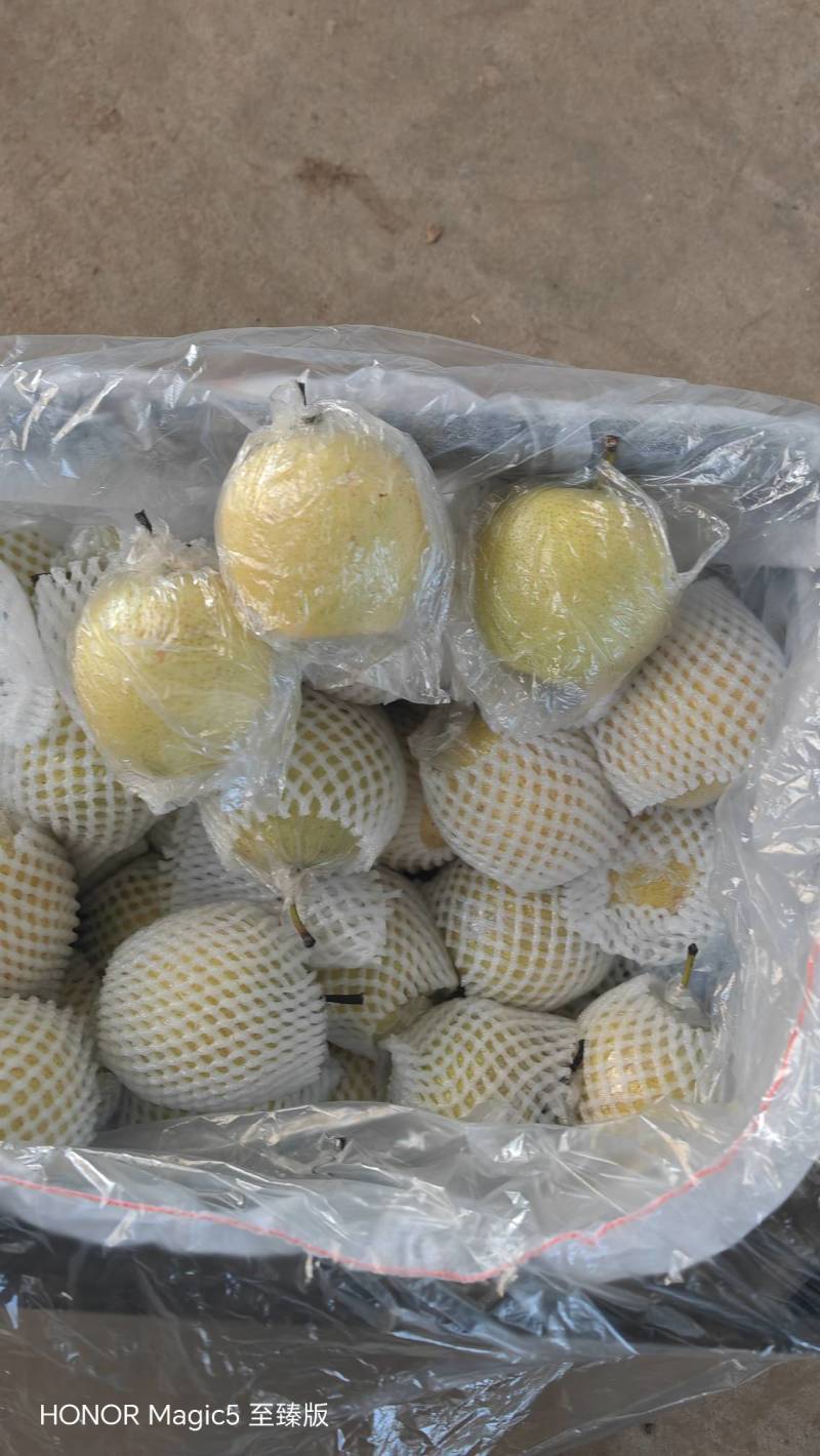 【精选】膜皇冠梨口感脆甜规格齐全价格优惠产地直发