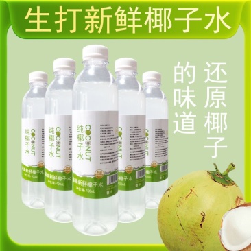 新鲜椰子水纯椰青椰子水椰青水餐饮工厂直供