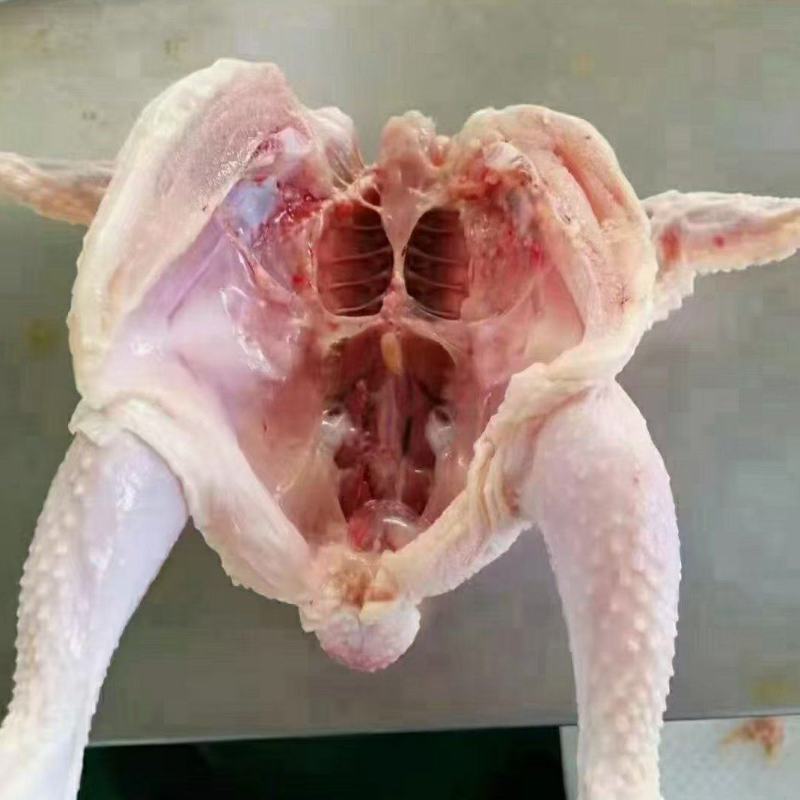 西装鸡