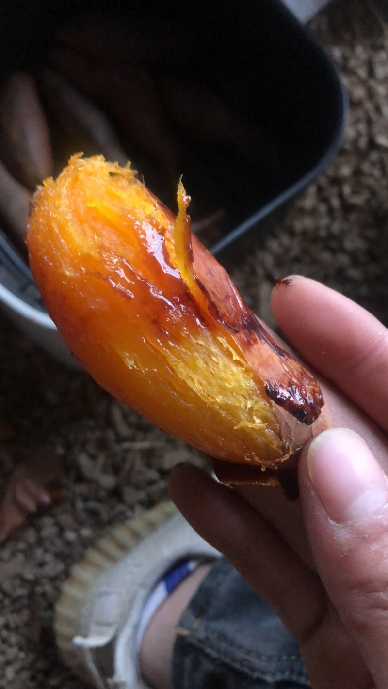 烟薯25，西瓜红地瓜接团购，一件代发，量大来谈