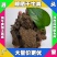 新疆牛粪批发和田发酵牛粪有机肥阿克苏干牛粪厂家