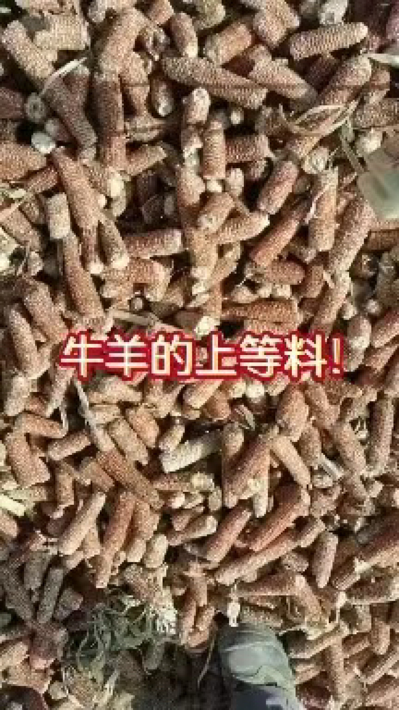 精品玉米芯玉米芯供应玉米芯诚信经营玉米芯，玉米芯颗粒
