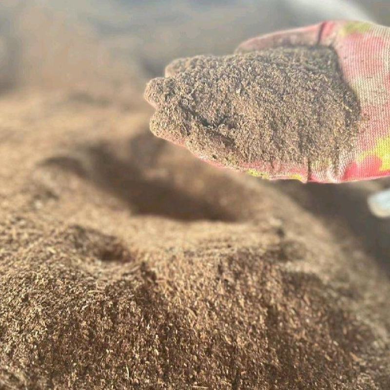 江苏湿酒糟大量供应保质保量对接全国客商可视频看货验货