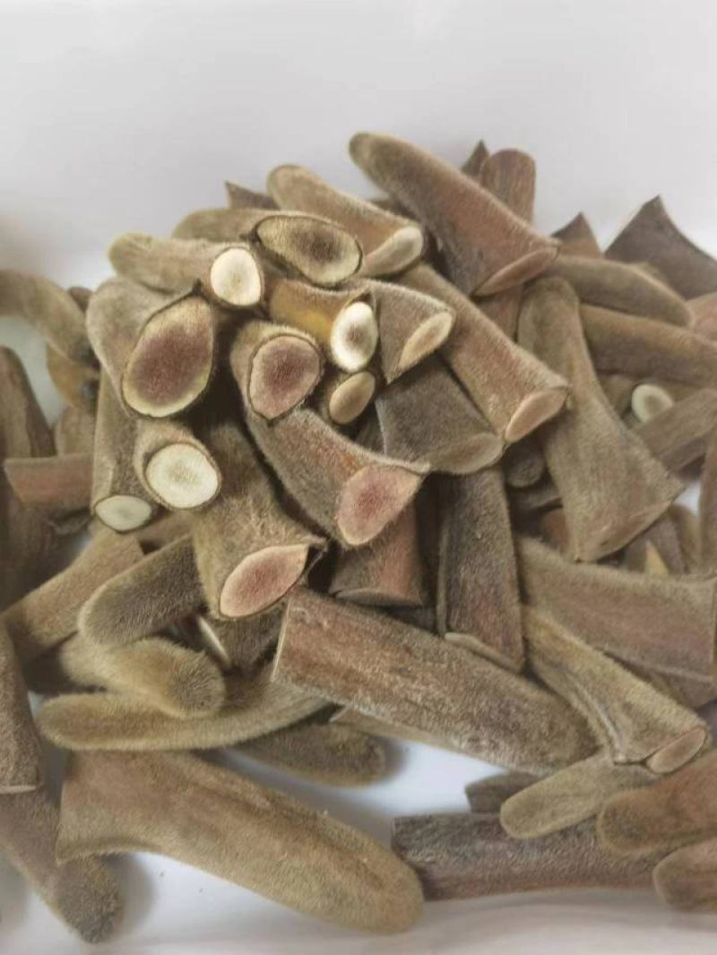 干鹿茸批发吉林长春梅花鹿养殖场腊片粉片鹿茸头段礼盒