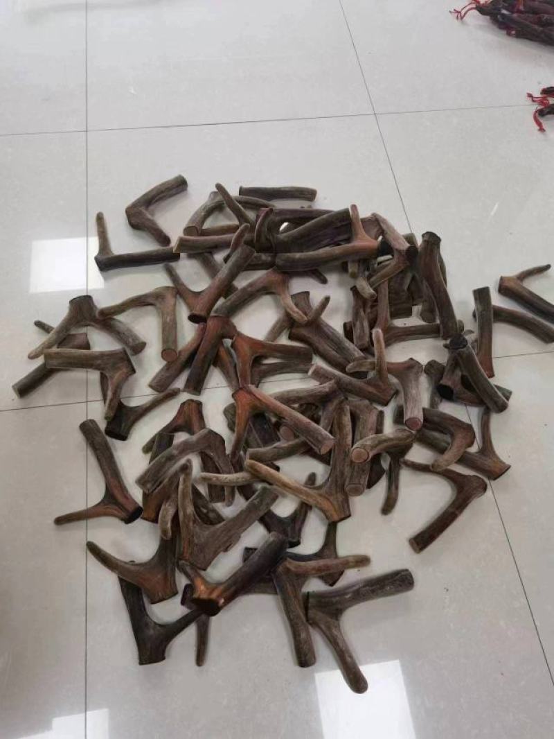 干鹿茸批发吉林长春梅花鹿养殖场腊片粉片鹿茸头段礼盒